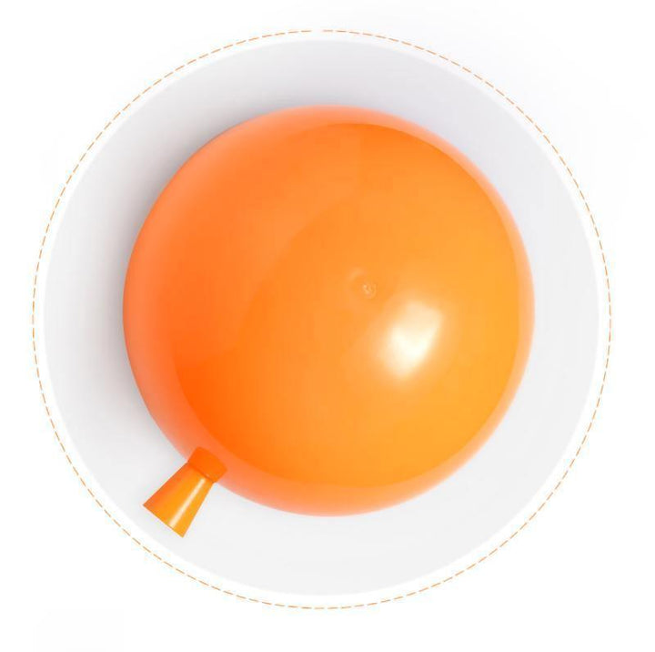 Balloon Dream Wall Sconce
