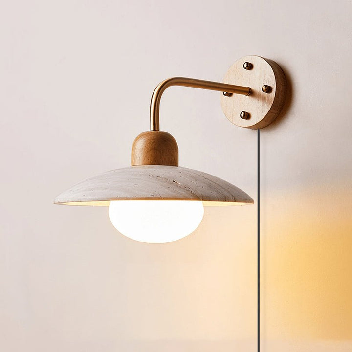 Dome Arm Plug-in Wall Lamp