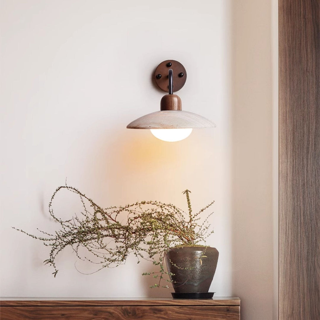 Dome Arm Wall Lamp