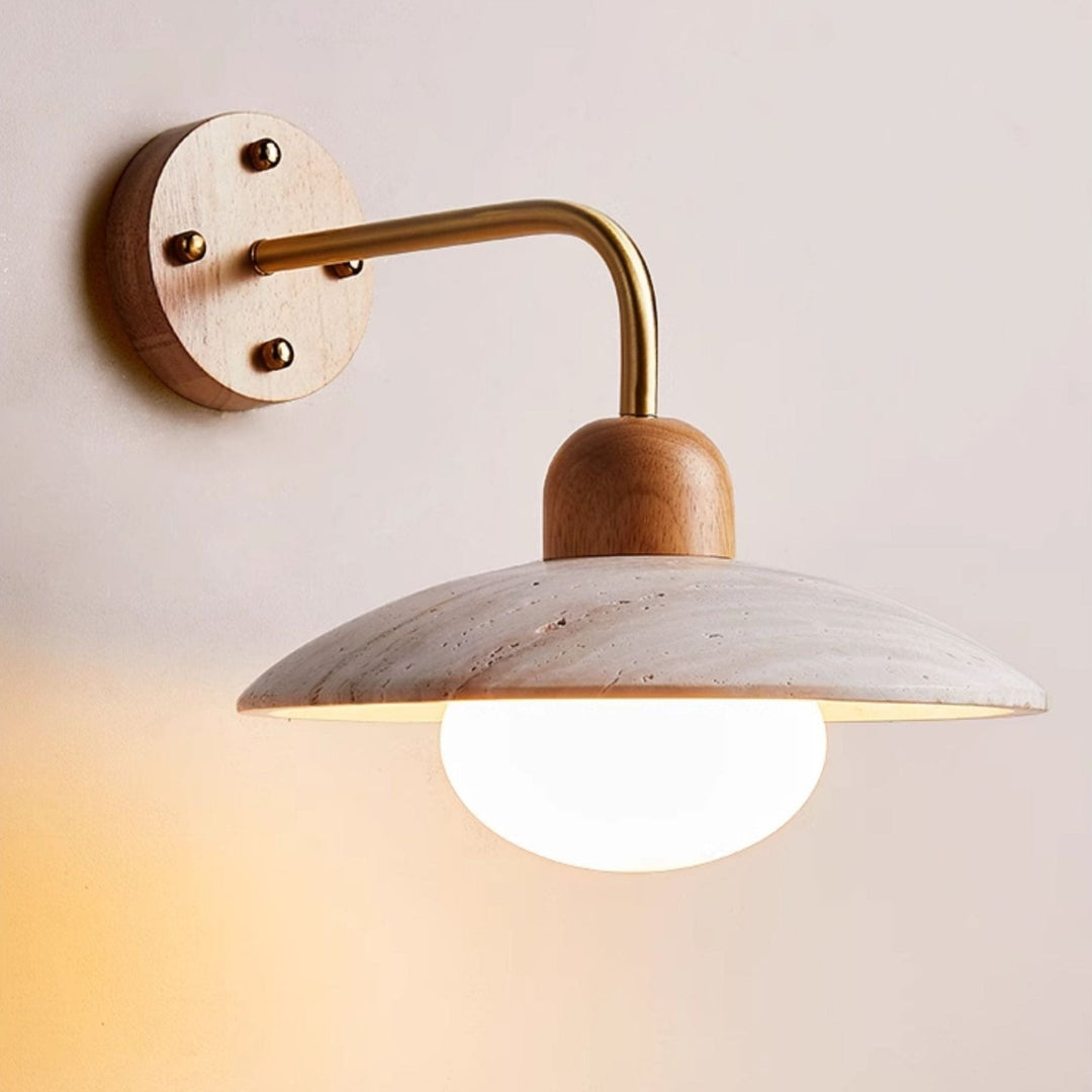 Dome Arm Wall Lamp