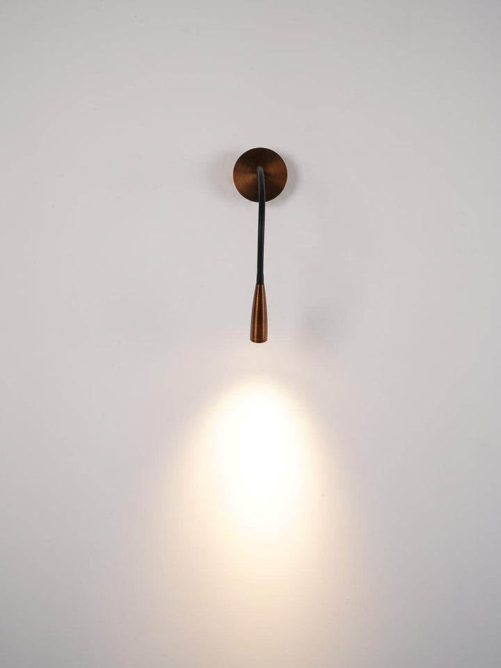 Flexi Hose Wall Light