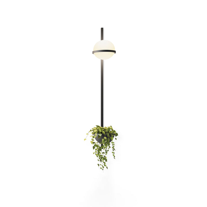 Solstice Orb Wall Light