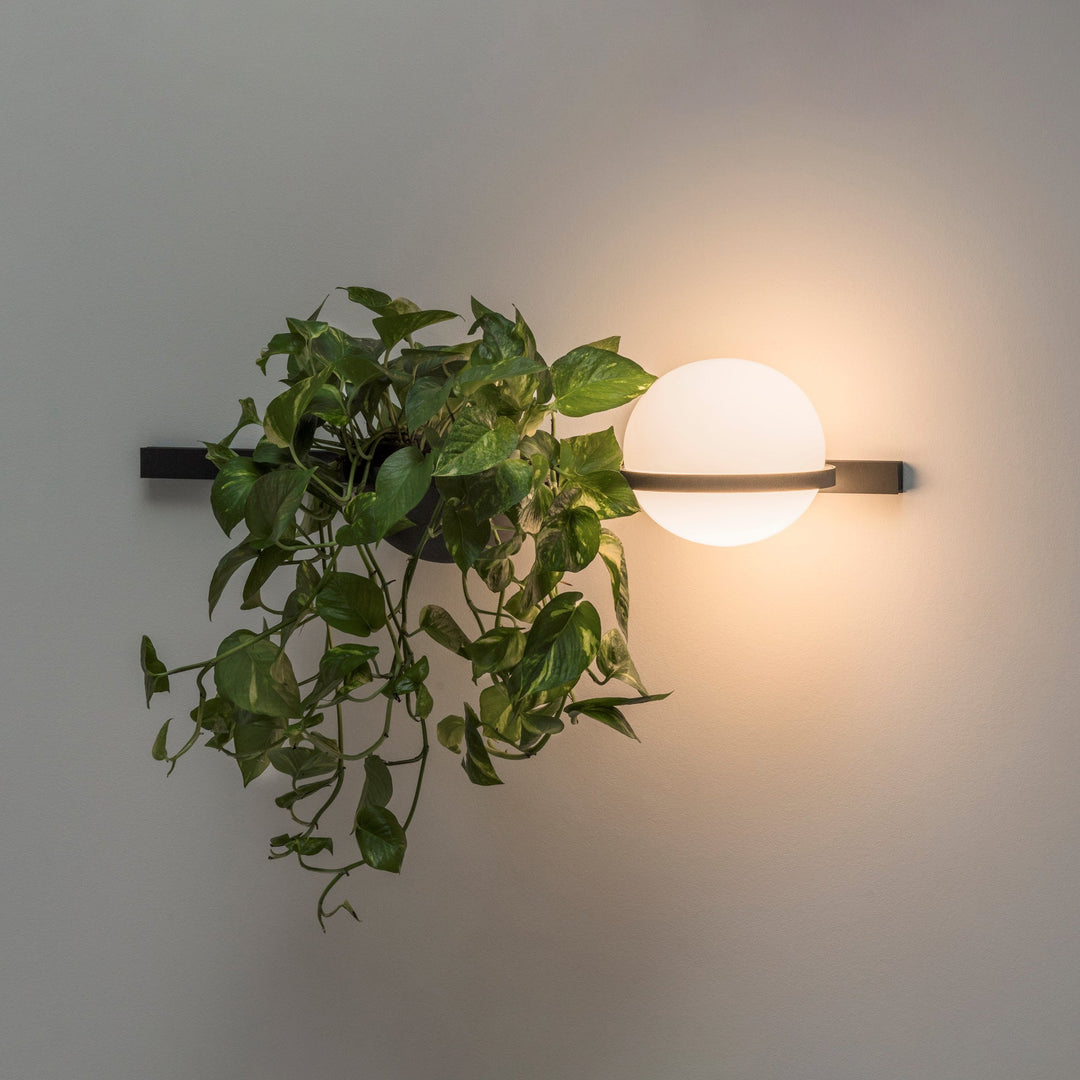 Solstice Orb Wall Light