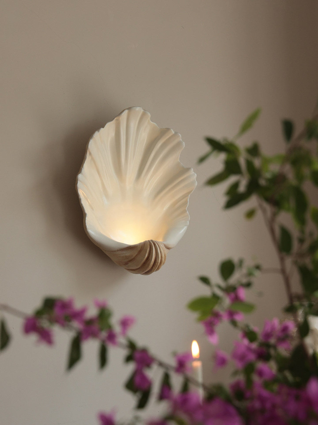 Shell Wall Sconce