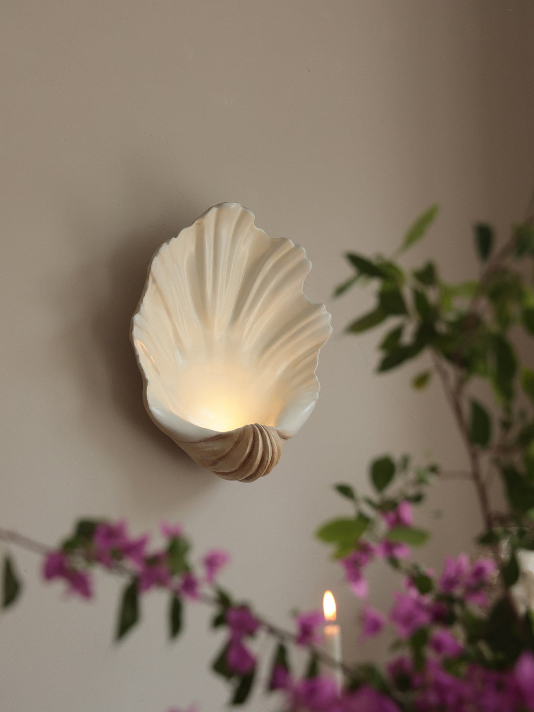 Shell Wall Sconce
