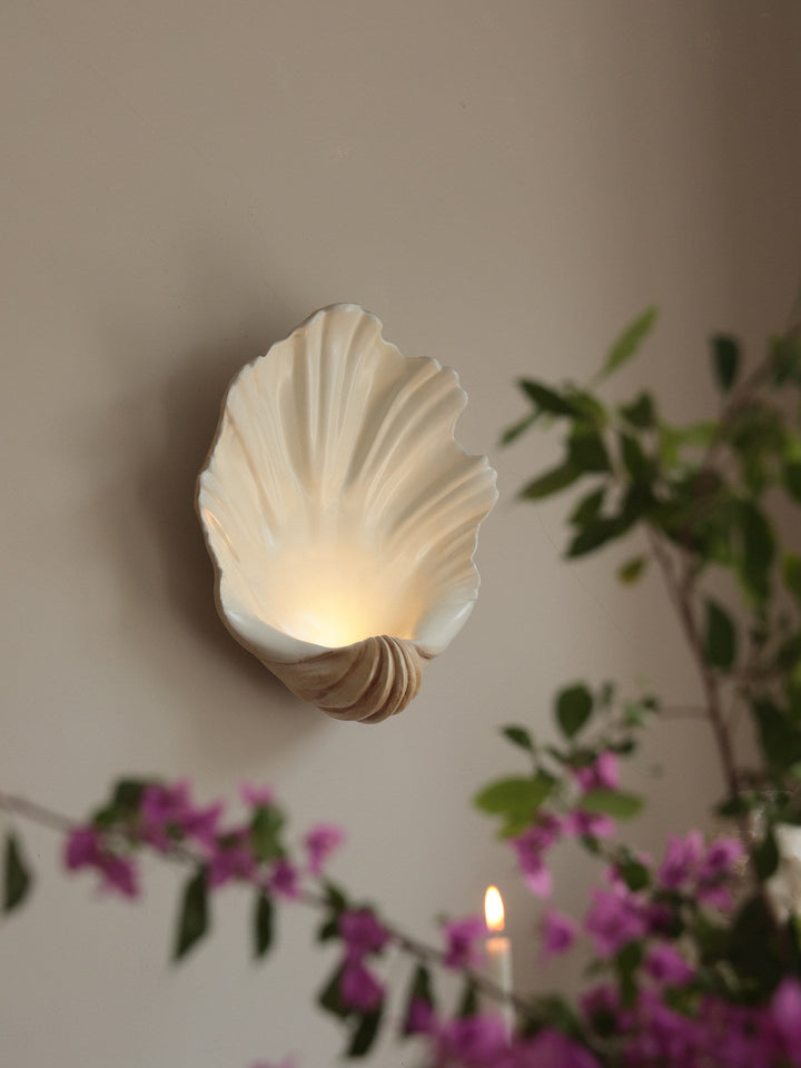 Shell Wall Sconce