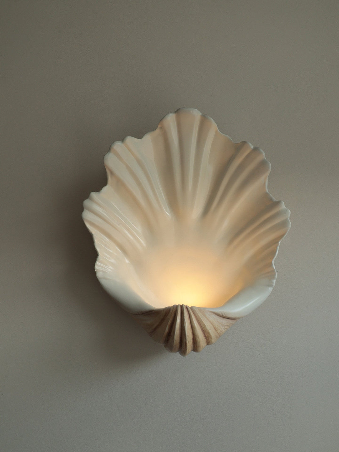 Shell Wall Sconce