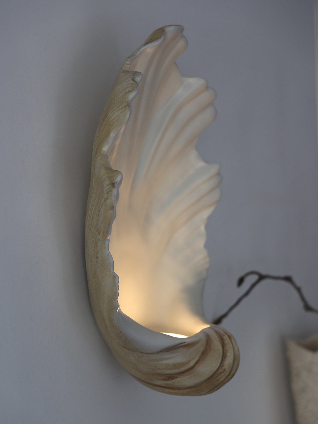 Shell Wall Sconce