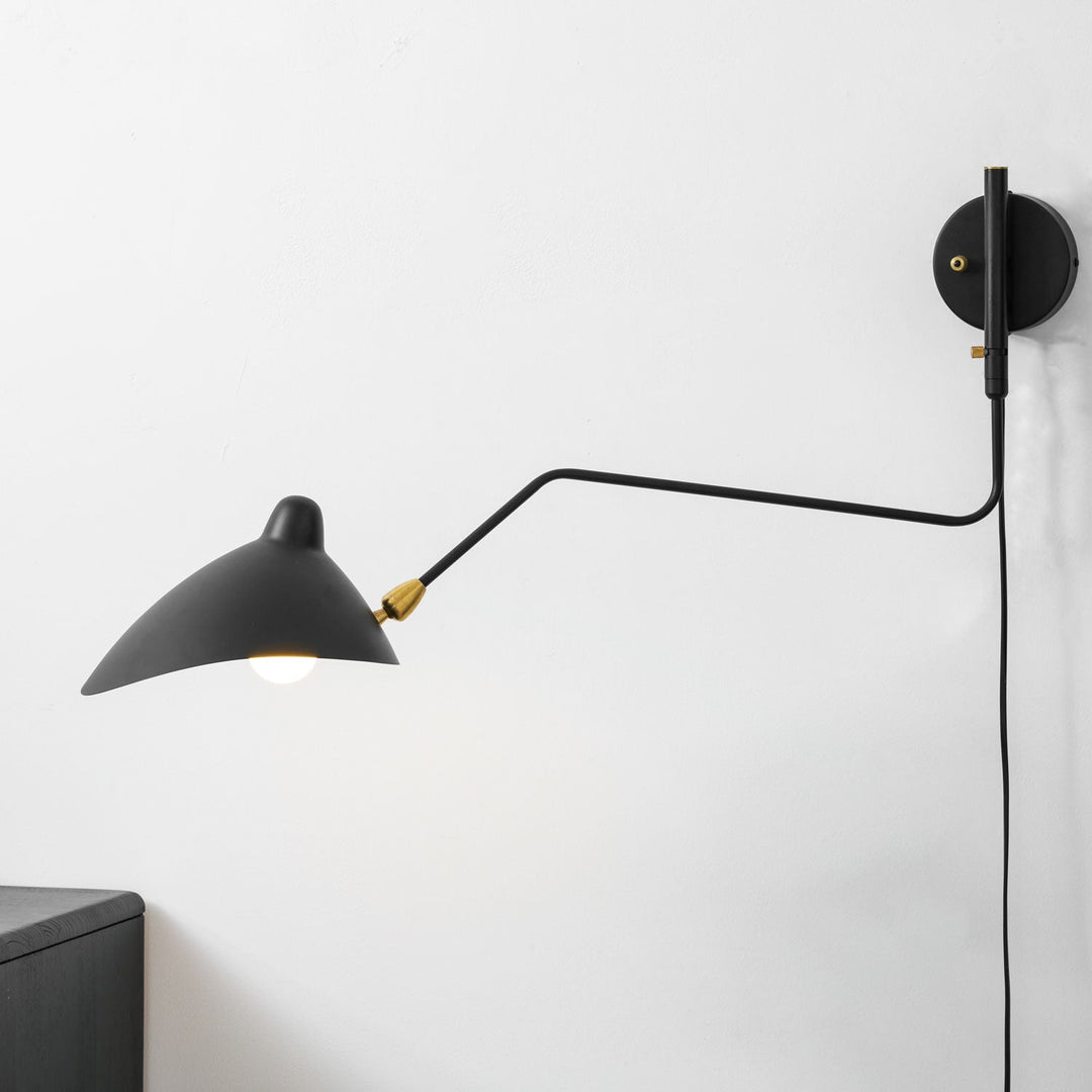 Versatile Arm Wall Sconce
