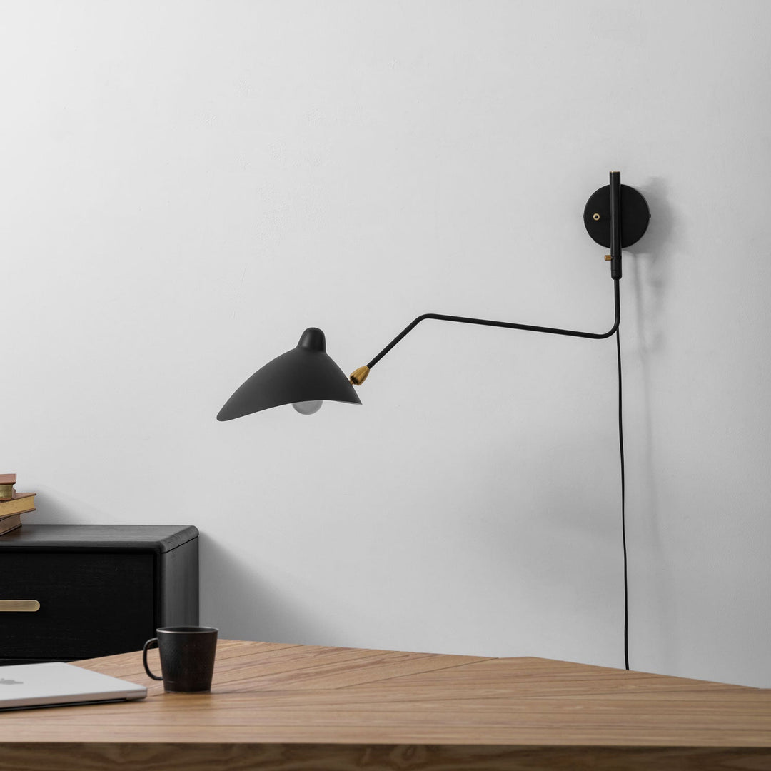 Versatile Arm Wall Sconce