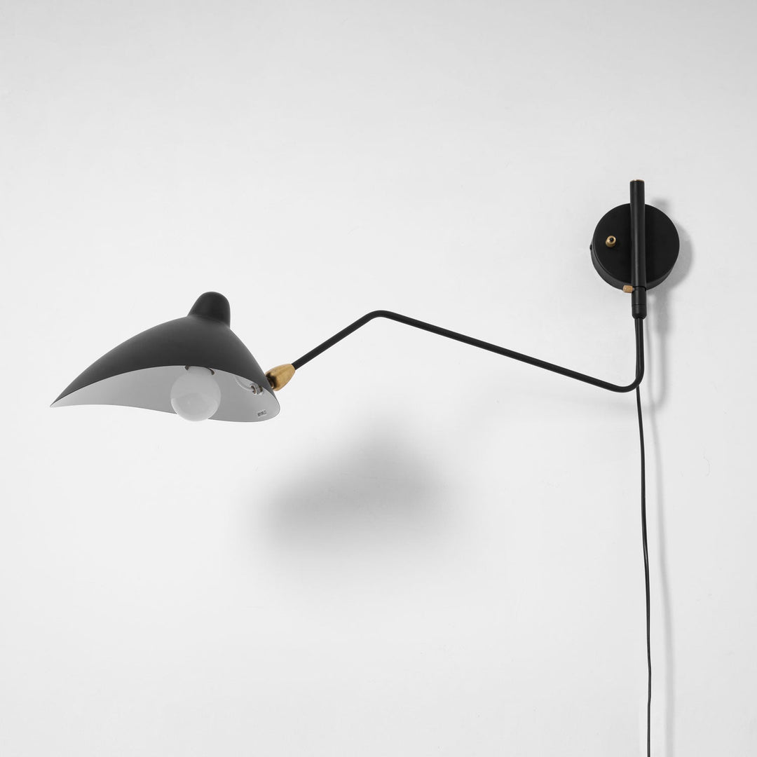 Versatile Arm Wall Sconce