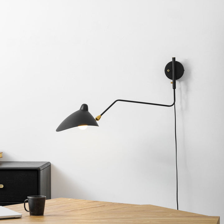 Versatile Arm Wall Sconce