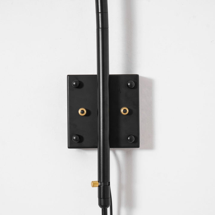 Versatile Arm Wall Sconce