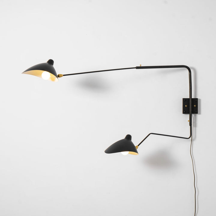 Versatile Arm Wall Sconce