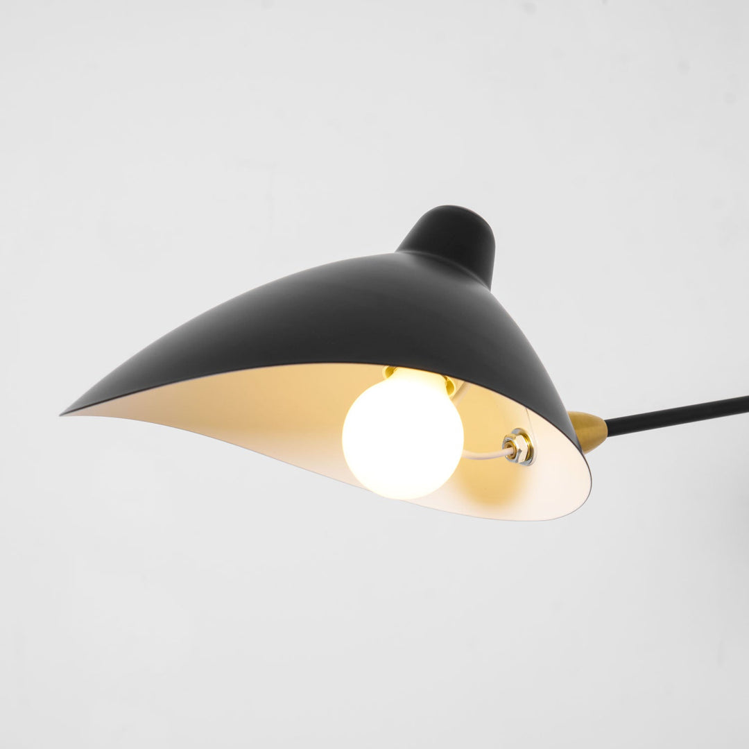 Versatile Arm Wall Sconce