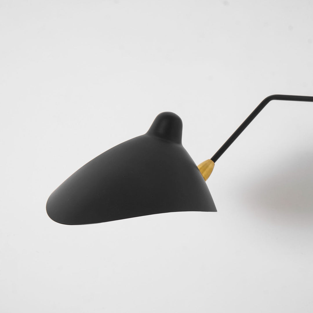 Versatile Arm Wall Sconce