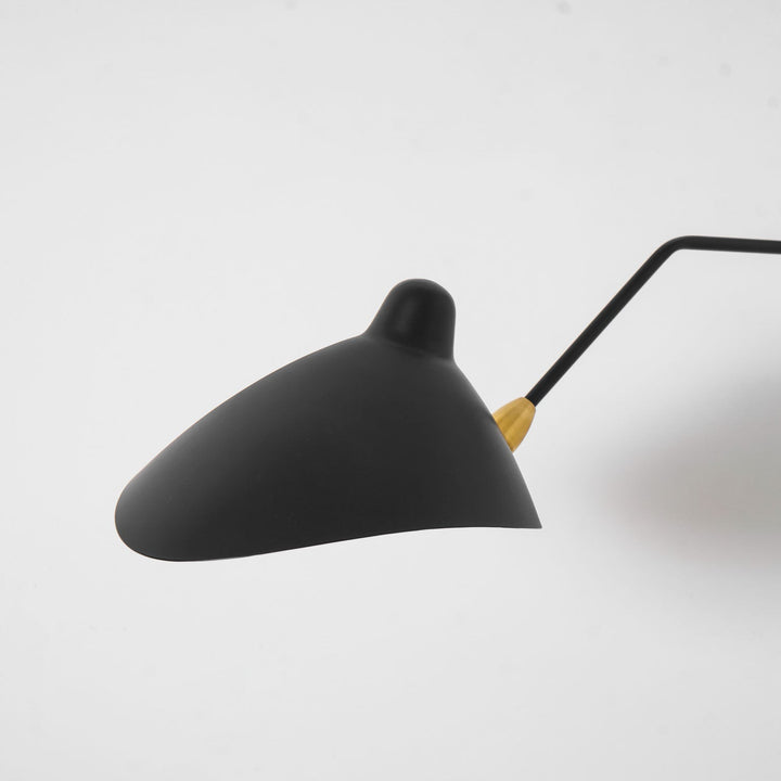 Versatile Arm Wall Sconce