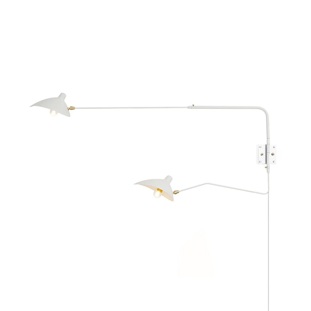 Versatile Arm Wall Sconce